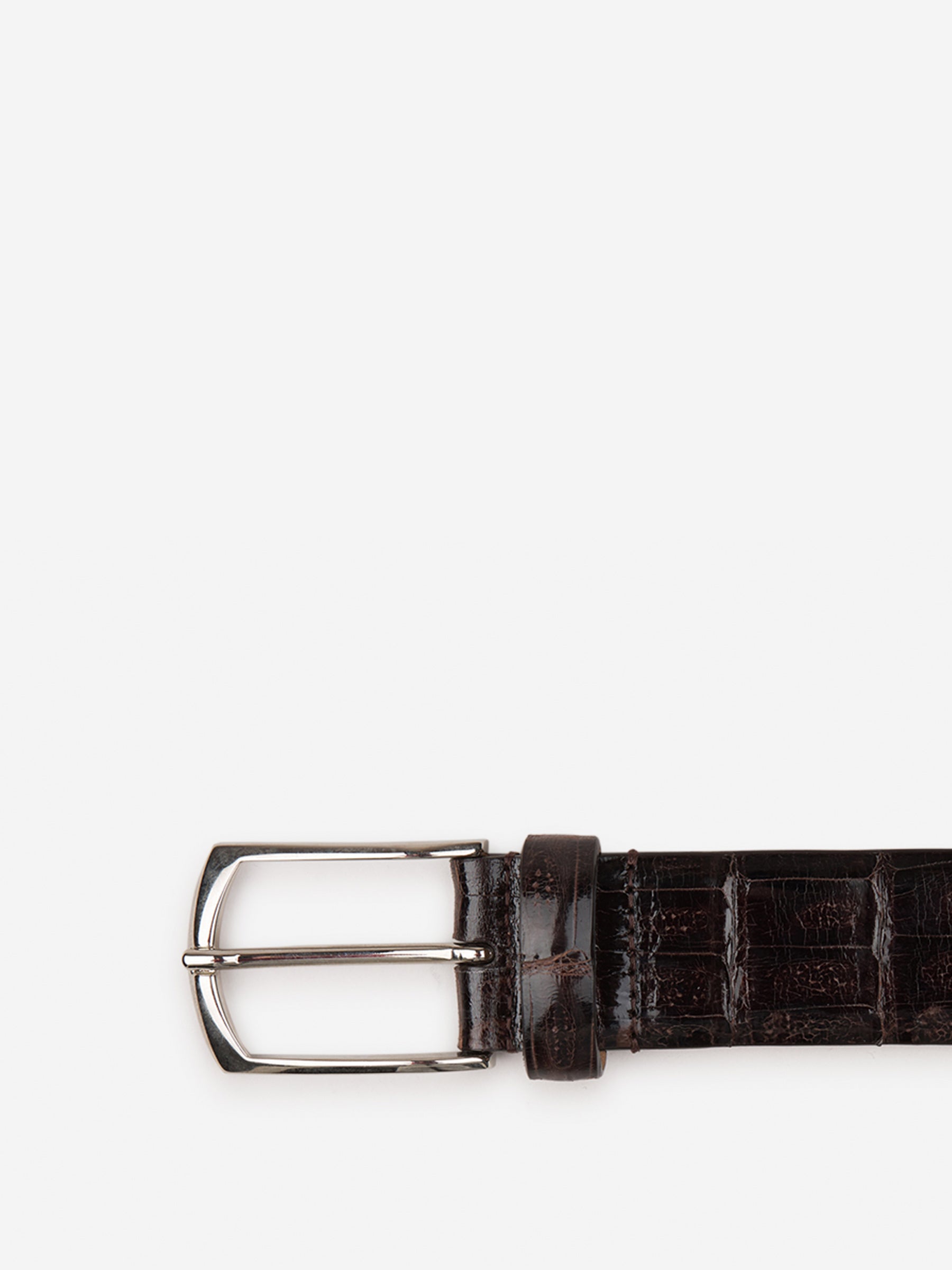Santa Eulalia Hombre Barcelona Cinturón Piel Cocodrilo color Marrón Oscuro sku 622-000816 01 - Foto 2