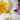 perfumes thomas de monaco barcelona