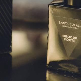 regalos 2025 hombre perfumes