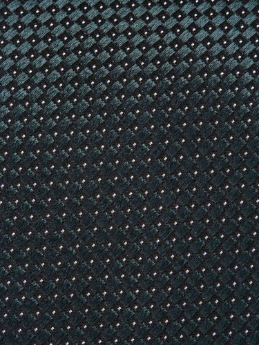 Zegna Hombre Barcelona Corbata Seda Texturizada color Verde Jungla sku 601-001805 01 - Foto 3