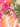 Farm Rio Mujer Barcelona Blusa Larga Estampada color Multicolor sku 701-002424 01 - Foto 5