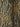 Ganni Mujer Barcelona Vestido Midi Leopardo color Leopardo sku 721-000760 00 - Foto 4