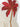 Farm Rio Mujer Barcelona Vestido Mini Coconut Tree color Beige sku 731-006134 01 - Foto 3