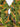 Farm Rio Mujer Barcelona Vestido Fruncido Tropical color Multicolor sku 733-000024 01 - Foto 3