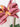 Farm Rio Mujer Barcelona Vestido Pink Garden Terrace color Multicolor sku 733-000026 01 - Foto 4