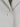 Max Mara Mujer Barcelona Blazer con Volantes color Beige sku 741-002349 01 - Foto 3