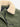 Canada Goose Mujer Barcelona Chaqueta Acolchada Scout color Verde Militar sku 774-000685 01 - Foto 5