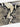 TOTEME Mujer Barcelona Bolso T-lock Serpiente color Serpiente sku 810-008630 01 - Foto 5