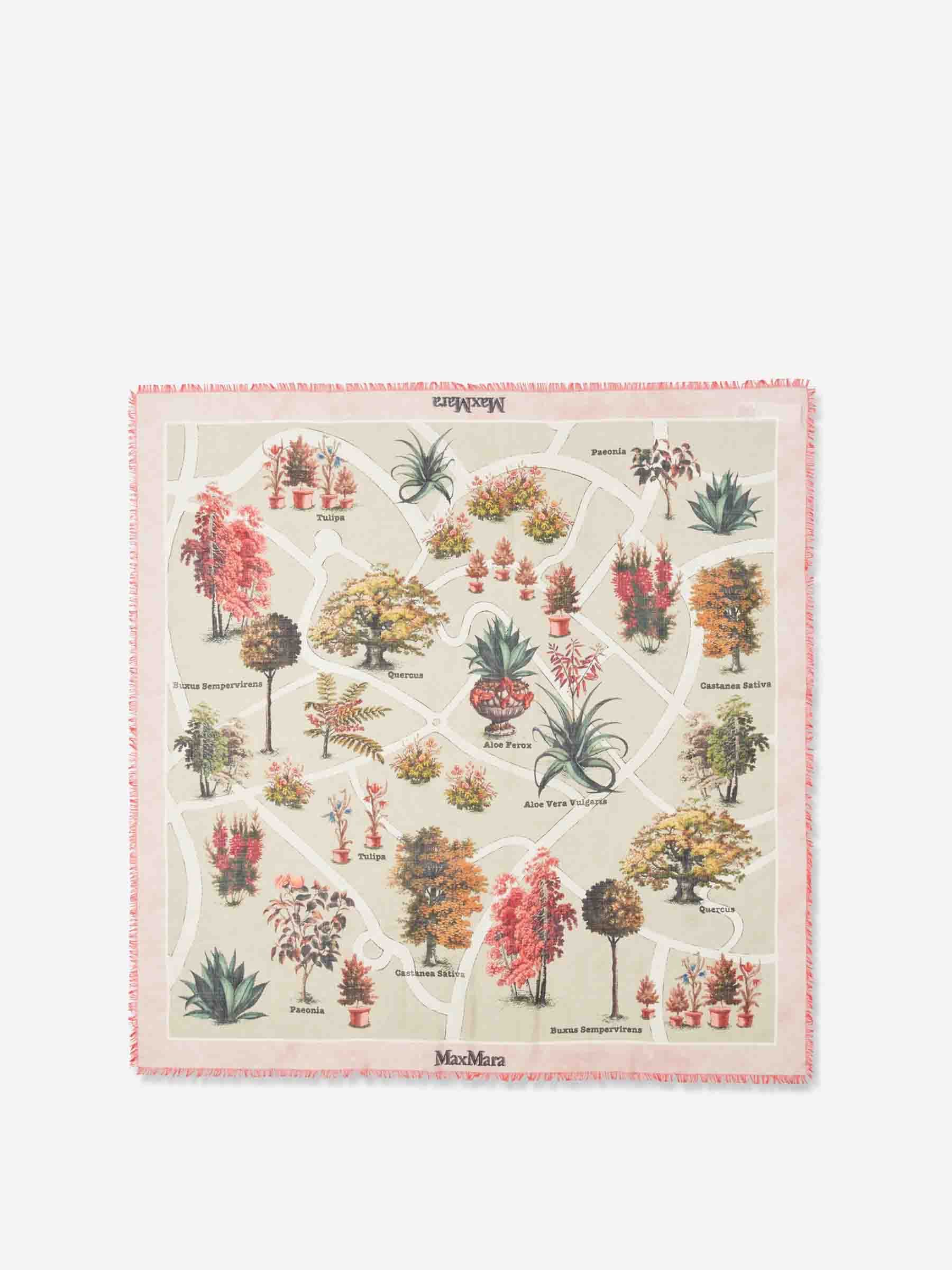 Max Mara Mujer Barcelona Fular Lana Seda color Rosa Envejecido sku 840-000828 02 - Foto 2