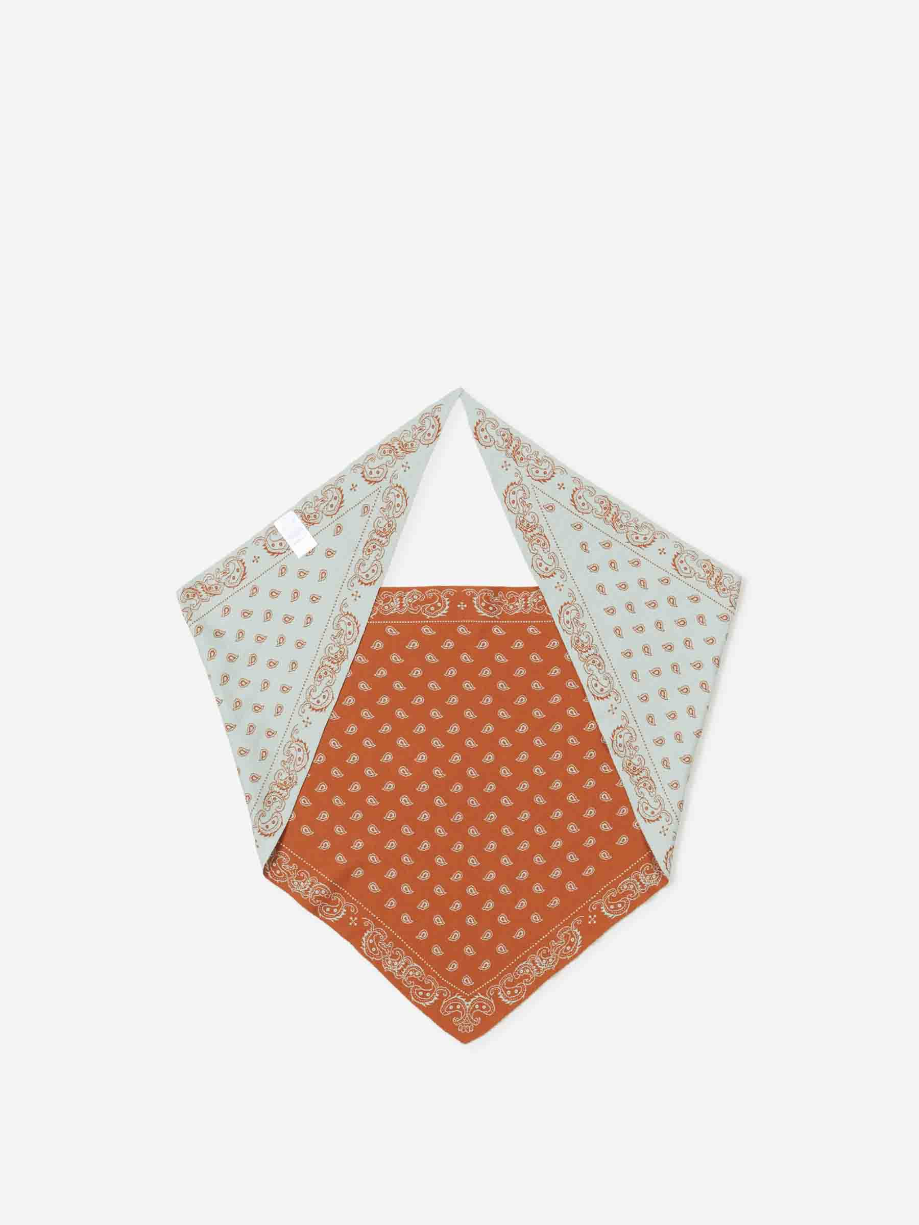 The Wild Rag bandana