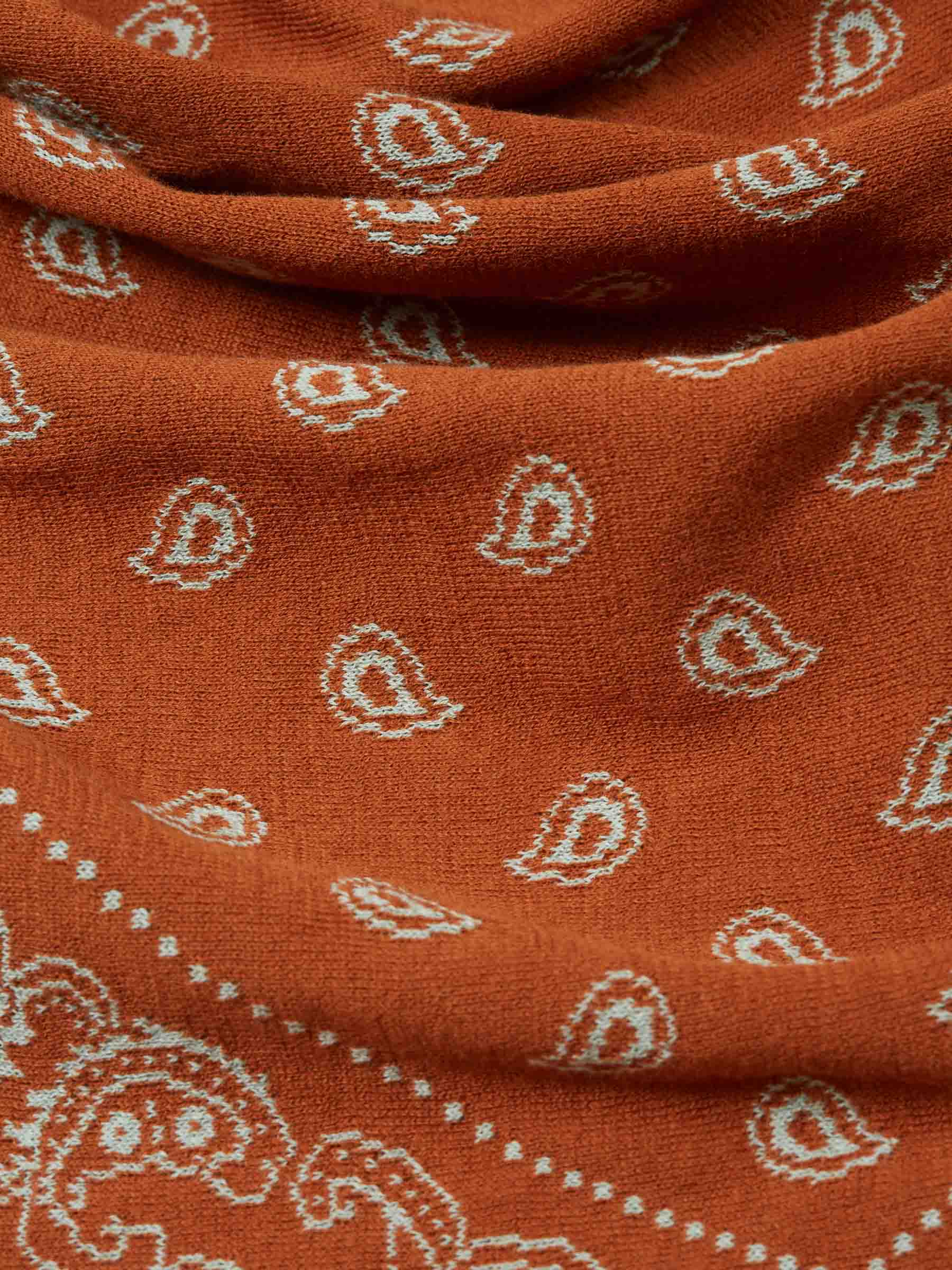 The Wild Rag bandana