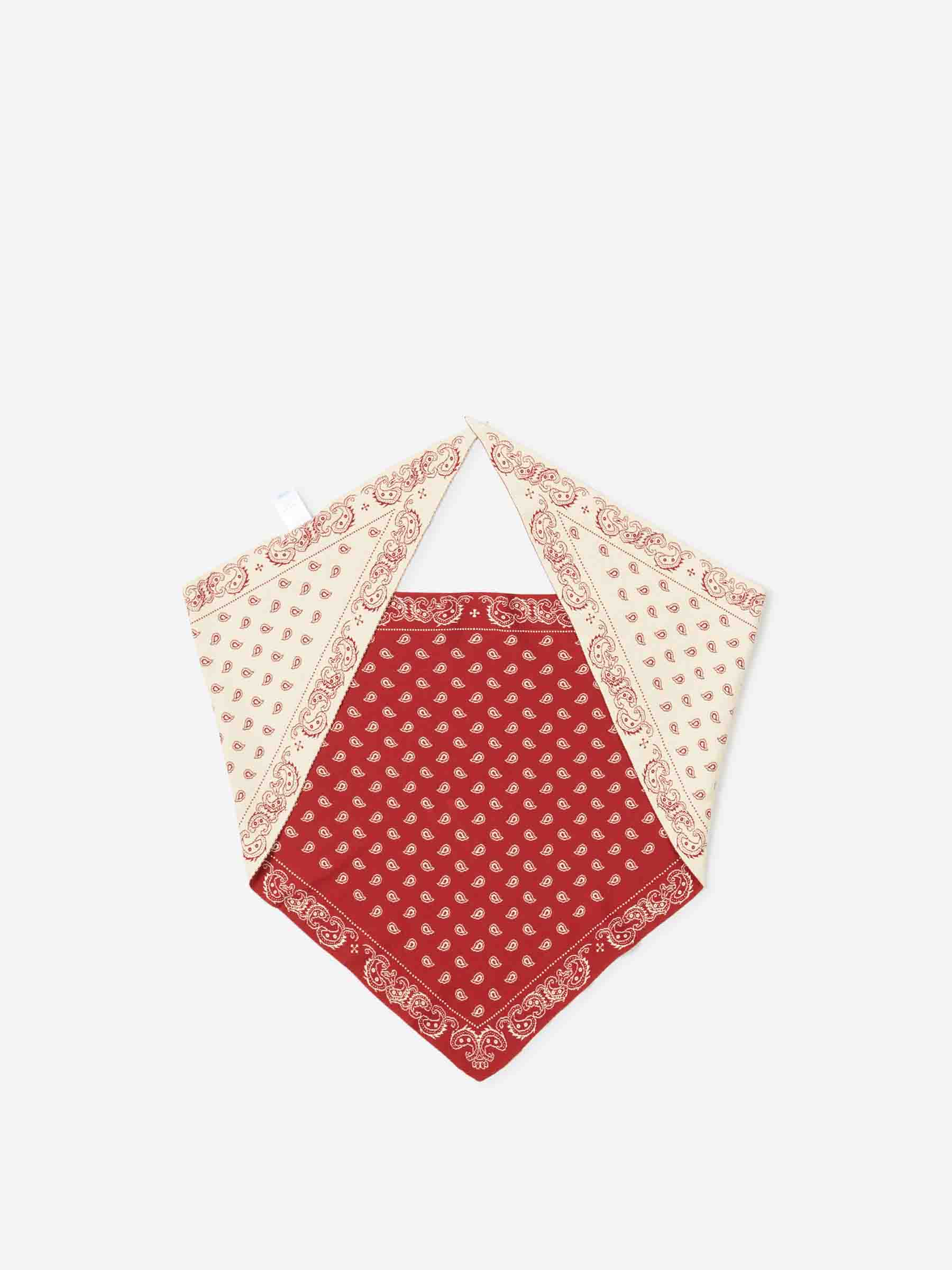 The Wild Rag bandana