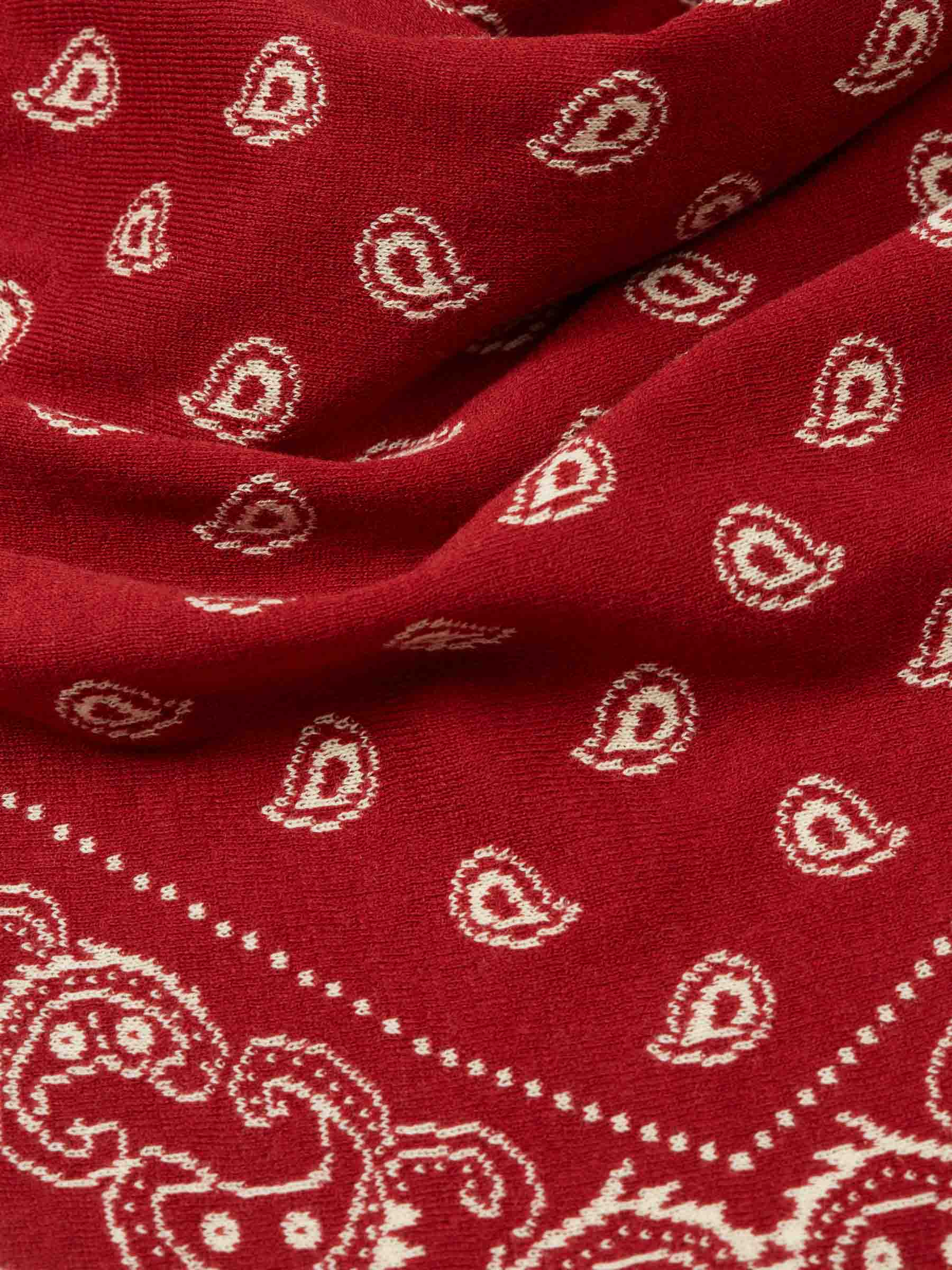 The Wild Rag bandana