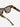 Bottega Veneta Mujer Barcelona Gafas Sol Cat-eye color Marrón Oscuro sku 860-001437 02 - Foto 4