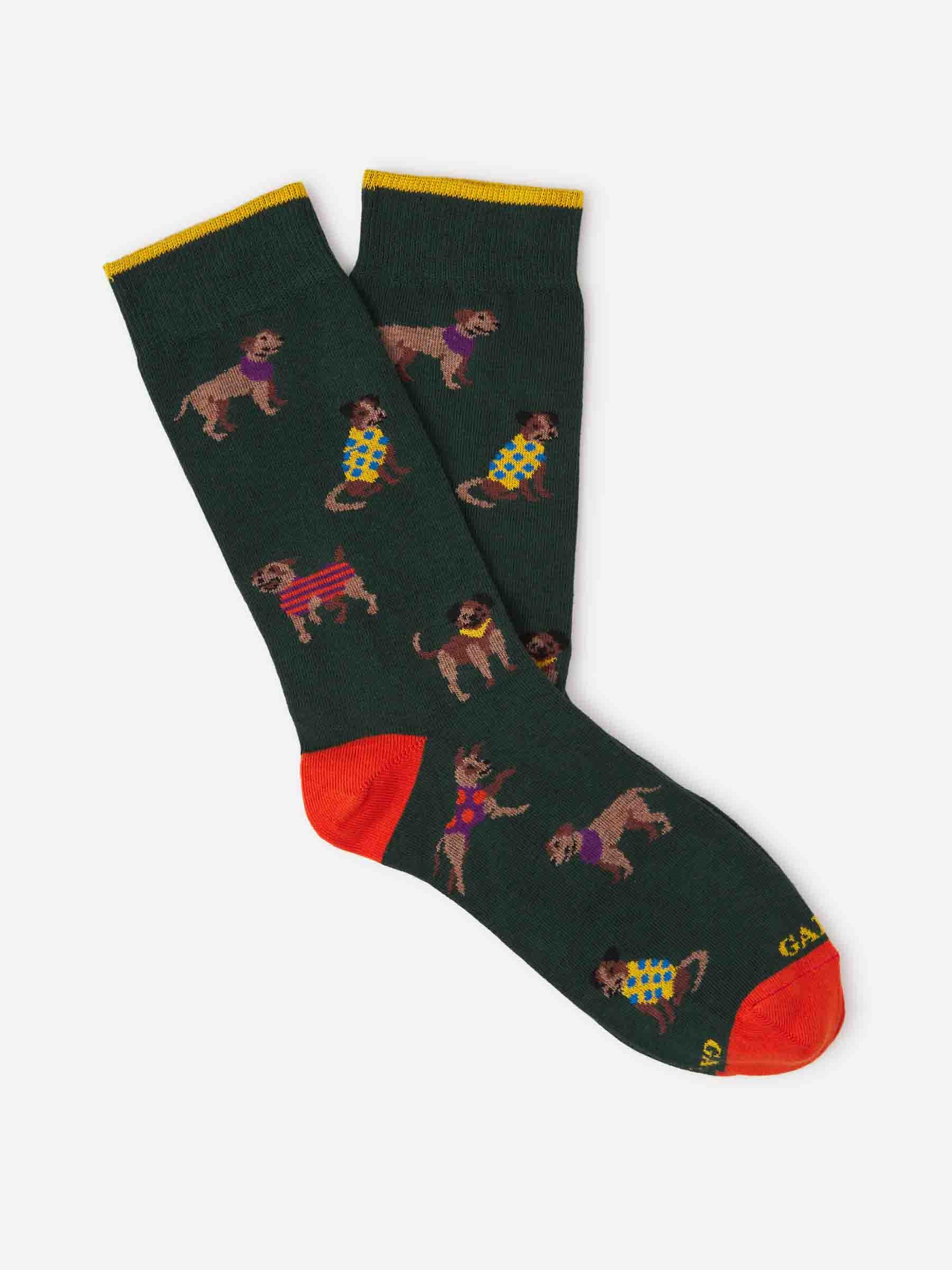 Gallo Hombre Barcelona Calcetines Tricolor Canalé color Verde Oscuro sku 642-000518 01 - Foto 1