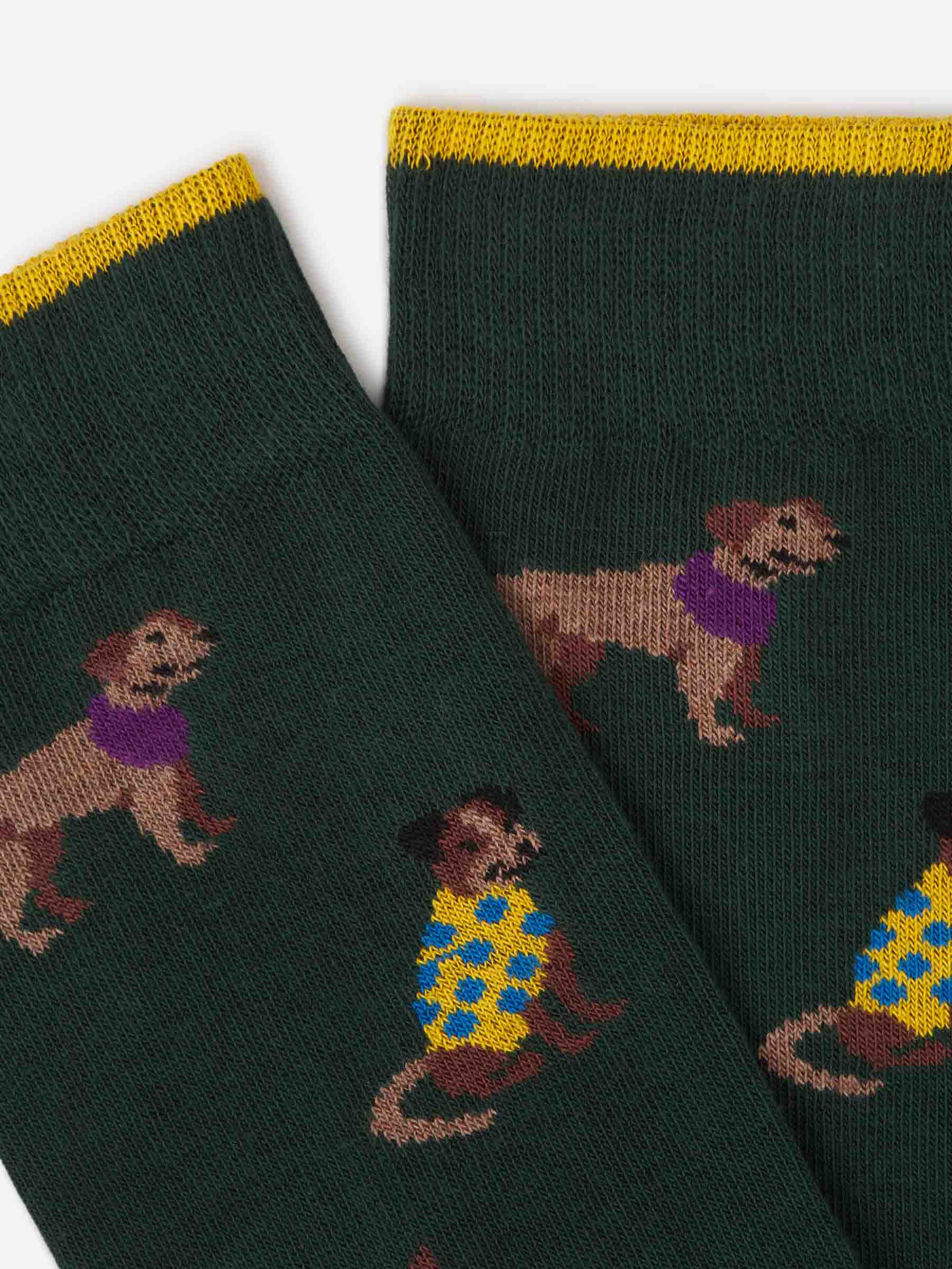 Gallo Hombre Barcelona Calcetines Tricolor Canalé color Verde Oscuro sku 642-000518 01 - Foto 2