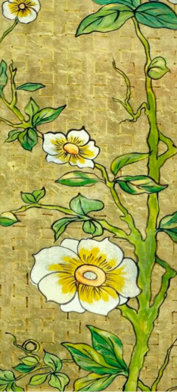 Frangipani — identitat i origen